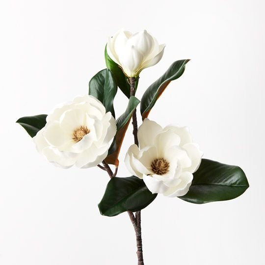 Magnolia Japanese Spray 74cm / White