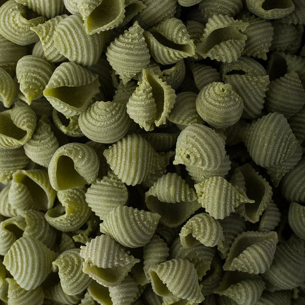 Pasta / Spinach Conchiglie