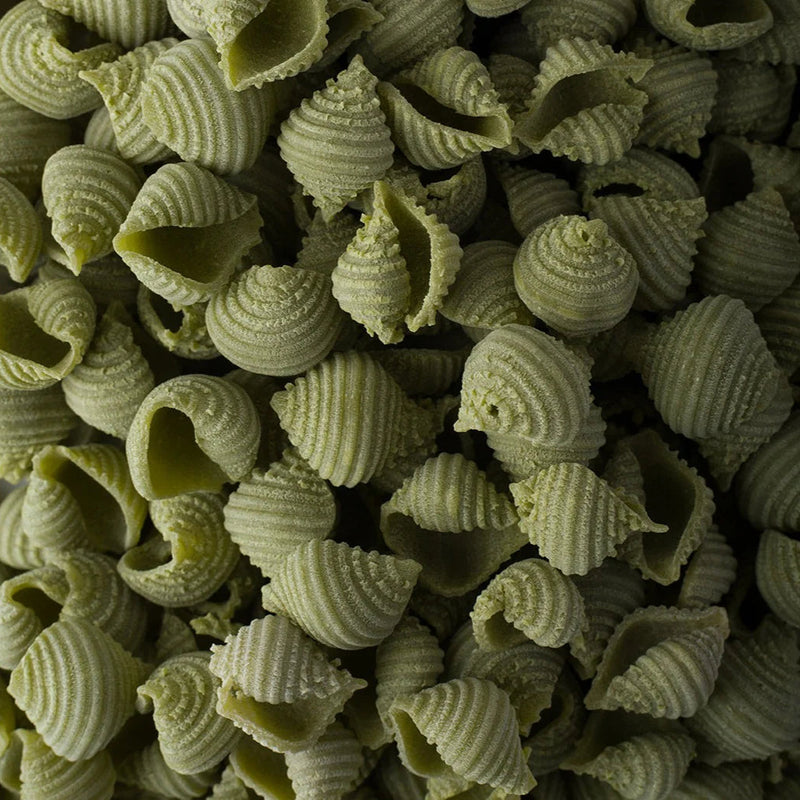Pasta / Spinach Conchiglie