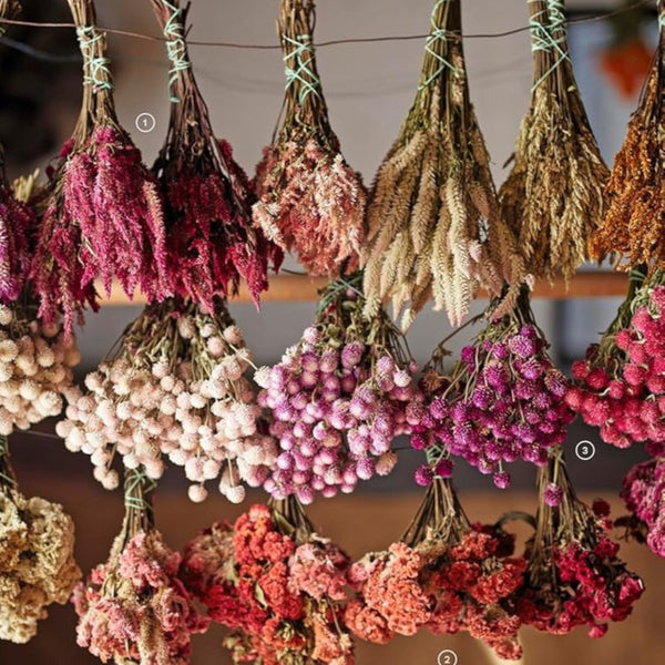 Designing with Dried Flowers