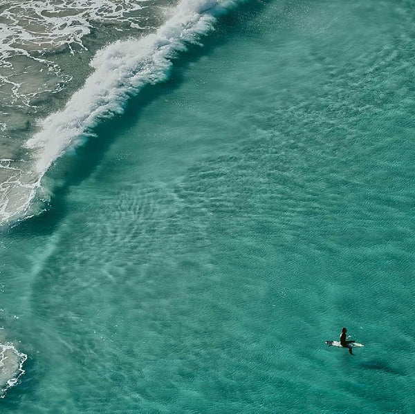 Life Around the Sea