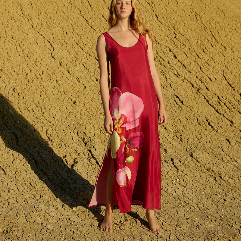 Poppy Dress / Redcurrant Phalae