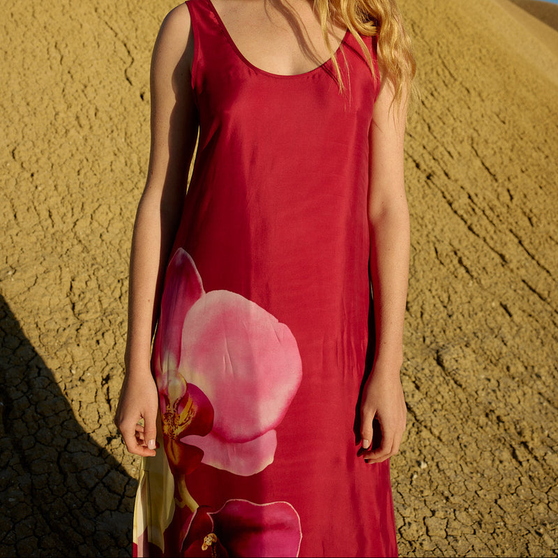 Poppy Dress / Redcurrant Phalae
