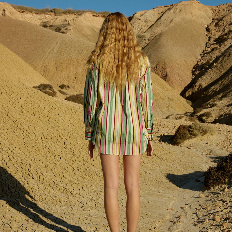 Buddy Shirt / Meadow Stripe