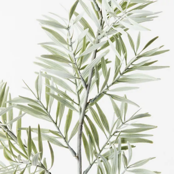Acacia Leaf Spray 91cm / Grey