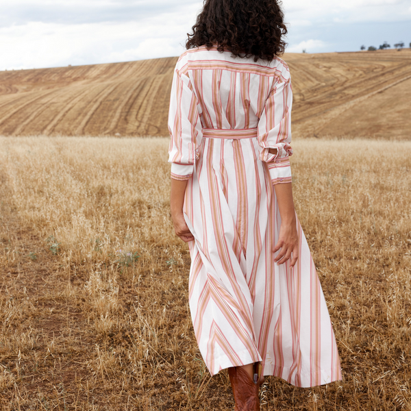 Arlet Dress / Peony + Antique Stripe
