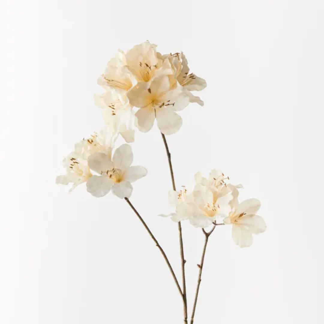 Azalea Spray 86cm / Cream – Home Goods Hardware