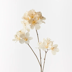 Azalea Spray 86cm / Cream