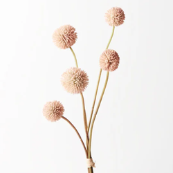 Billy Button Bundle 48cm / Light Pink