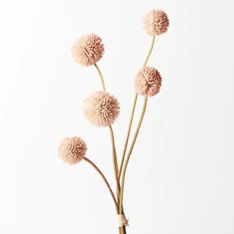 Billy Button Bundle 48cm / Light Pink