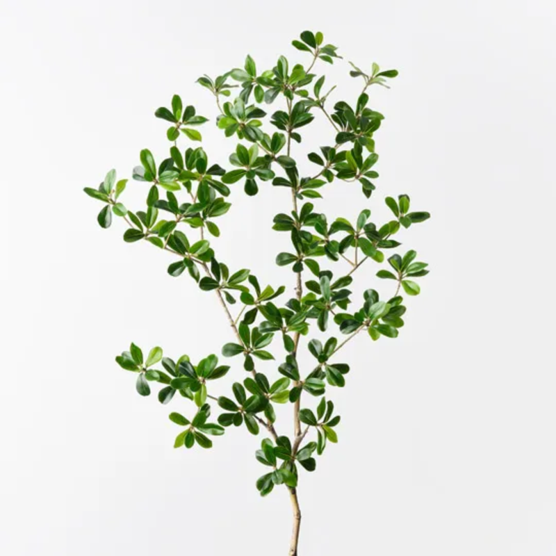 Black Olive Leaf Spray 112cm / Green
