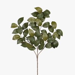 Camellia Leaf Spray 61cm / Green