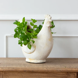 Chook Flower Pot