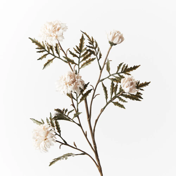 Chrysanthemum Celeste Spray 61cm / Ivory
