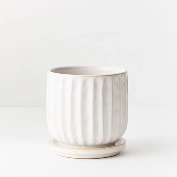 Pot Clovelly w/saucer White 12x12