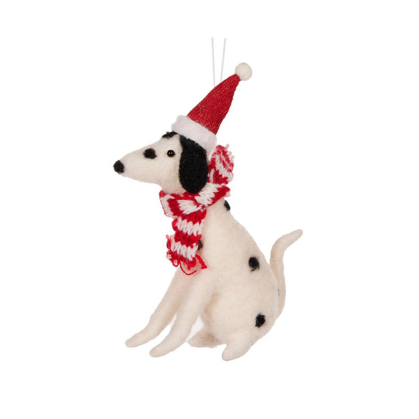Wool Dalmation  with Scarf