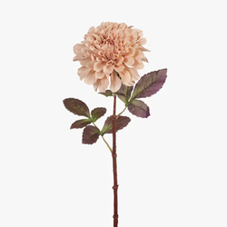 Dahlia 57cm / Dusty Pink