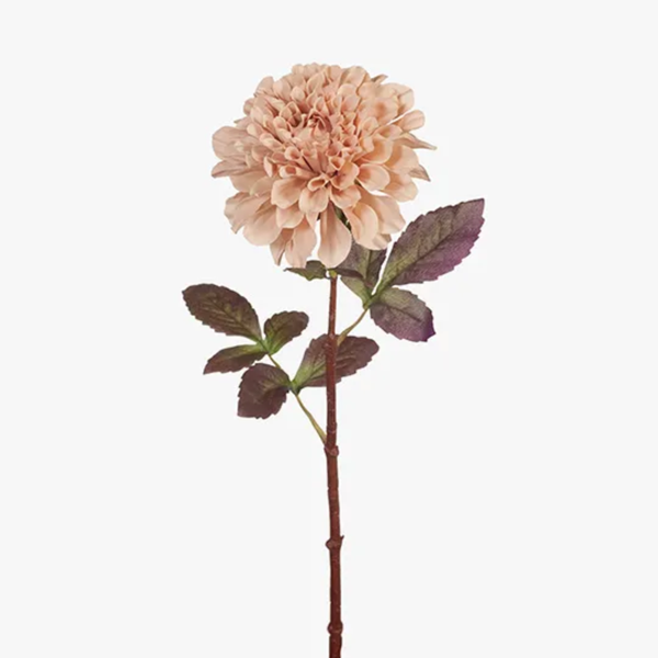 Dahlia 57cm / Dusty Pink