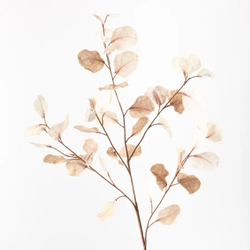 Eucalyptus Spray 96cm / Cream