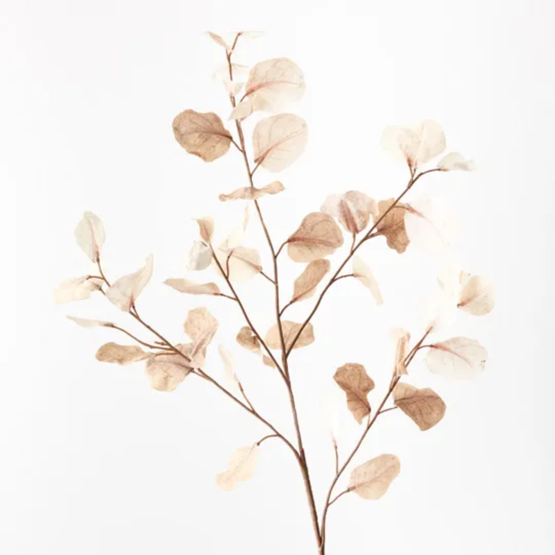 Eucalyptus Spray 96cm / Cream