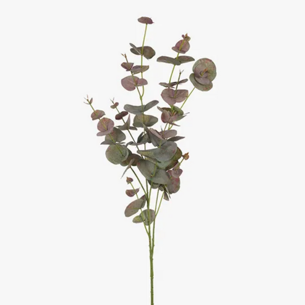 Eucalyptus Flowering Dollar / Pink 76cm