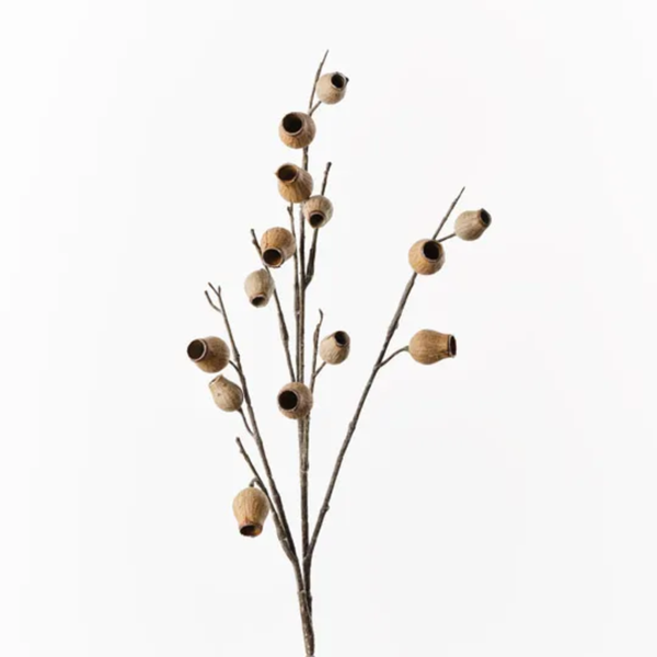 Eucalyptus Pod Spray 86cm / Natural