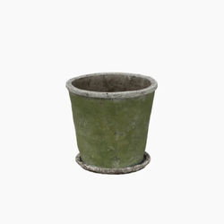 Evergreen Plant Pot + Saucer / Medium
