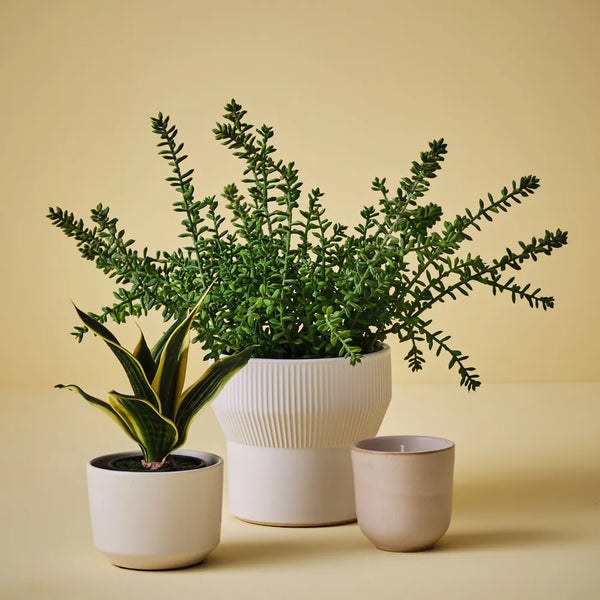 Gerti Candle 8cm / Ivory