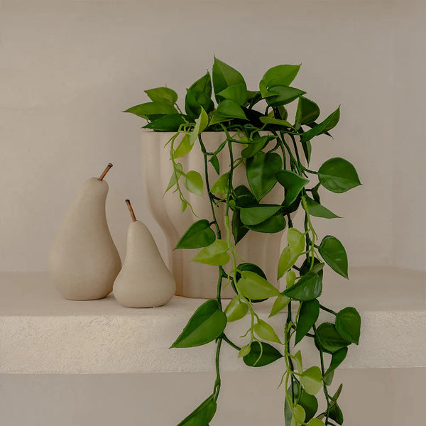 Elvi Pear 15 x 8cm / Putty