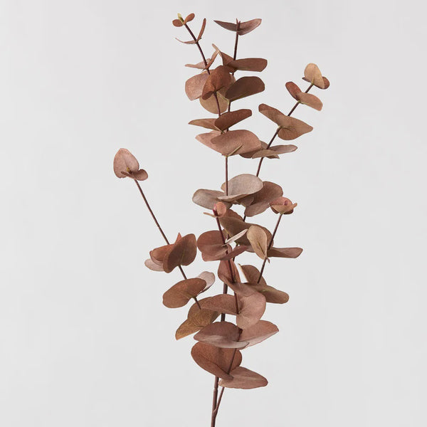 Eucalyptus Spray 86cm / Rust