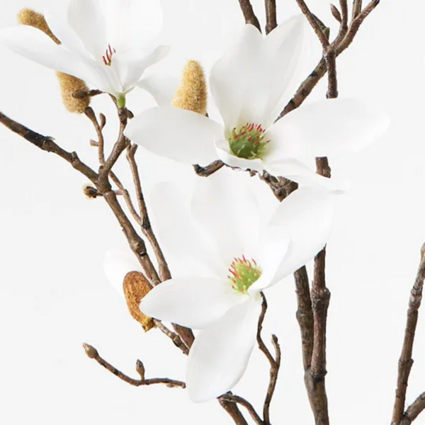 Magnolia Tree Spray / White
