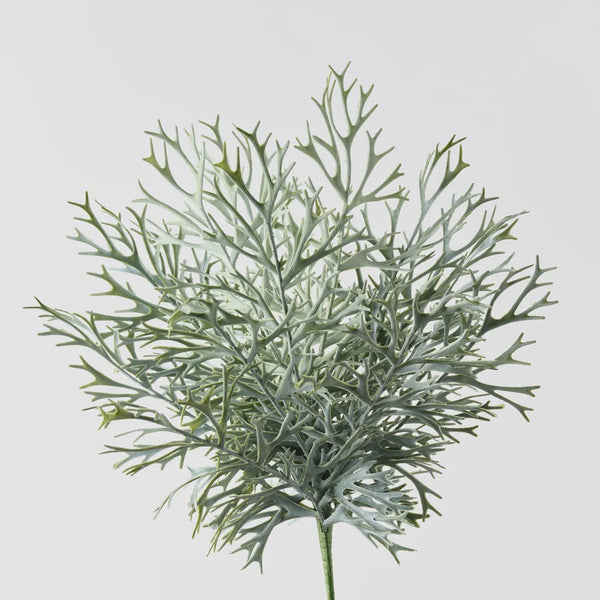 Fern Staghorn Bush 59cm / Grey Green