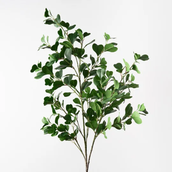 Ficus Triangle Spray 122cm / Green