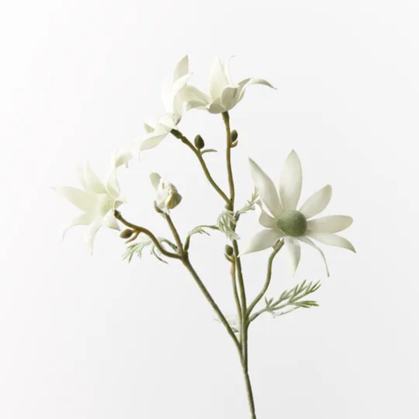 Flannel Flower Pick 35cm / Cream Green