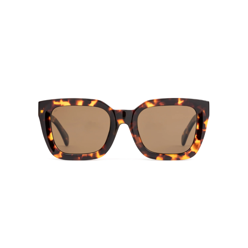 Harlow Sunglasses / Maple Tort + Brown Polarised