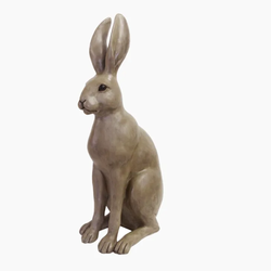 Harold the Hare / Brown