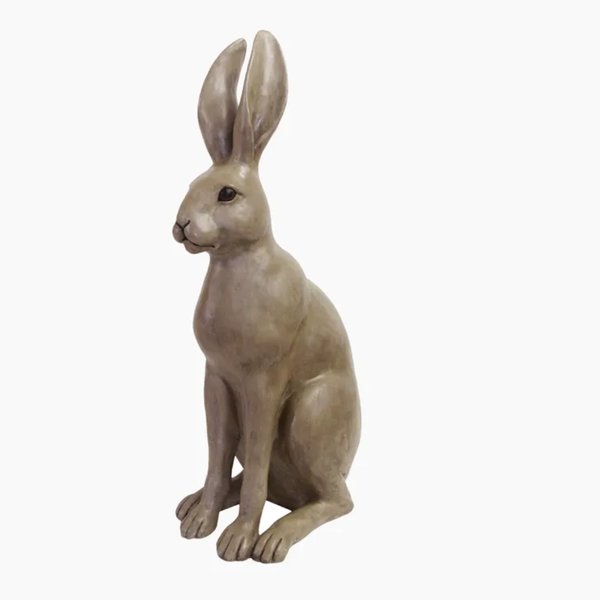 Harold the Hare / Brown