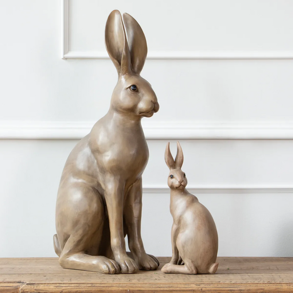 Harold the Hare / Brown