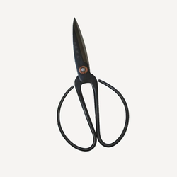 Herb Scissors Medium / Black
