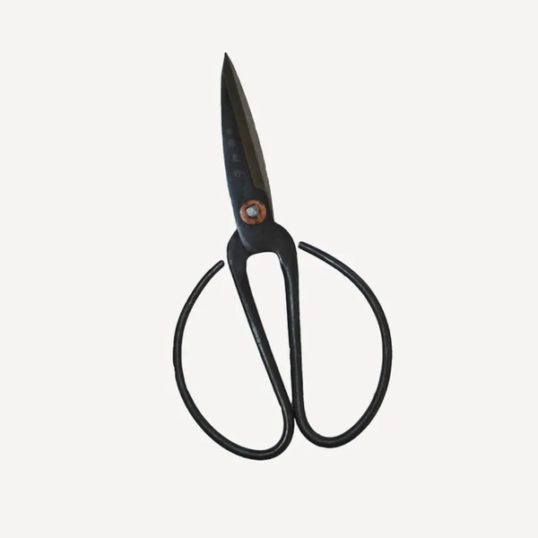 Herb Scissors Medium / Black