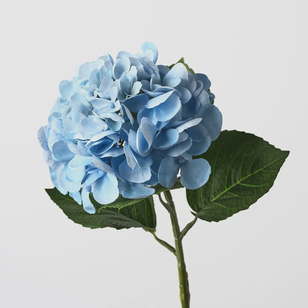 Hydrangea 60cm / Blue