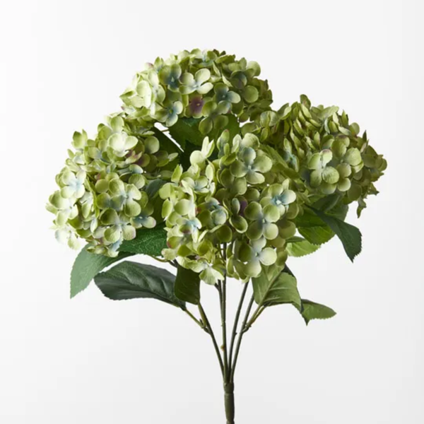 Hydrangea Bush 46cm / Green