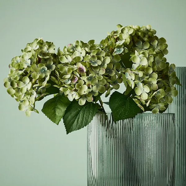 Hydrangea Bush 46cm / Green