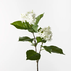 Hydrangea Spray 70cm / White