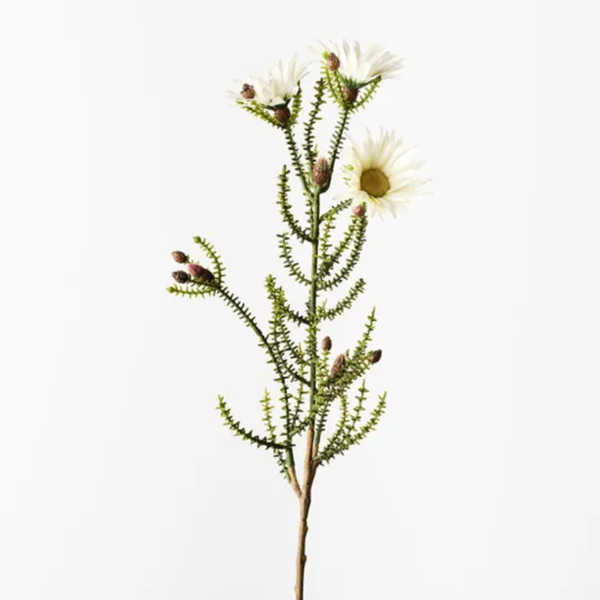 Kaaps Flower Spray 61cm / White