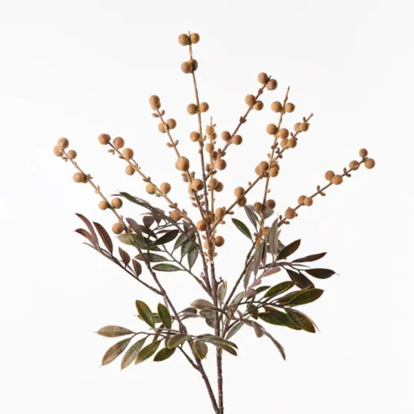 Longan Spray 74cm / Natural