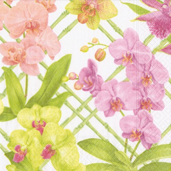 Lunch Napkins / Karen Kluhglein Orchid Conservatory