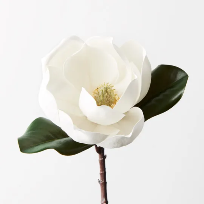 Magnolia 35cm / White