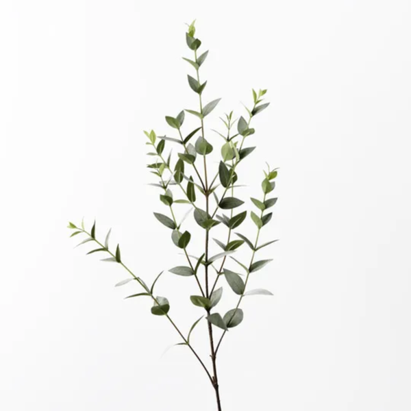 Eucalyptus Mini Leaf Spray 91cm / Grey Green