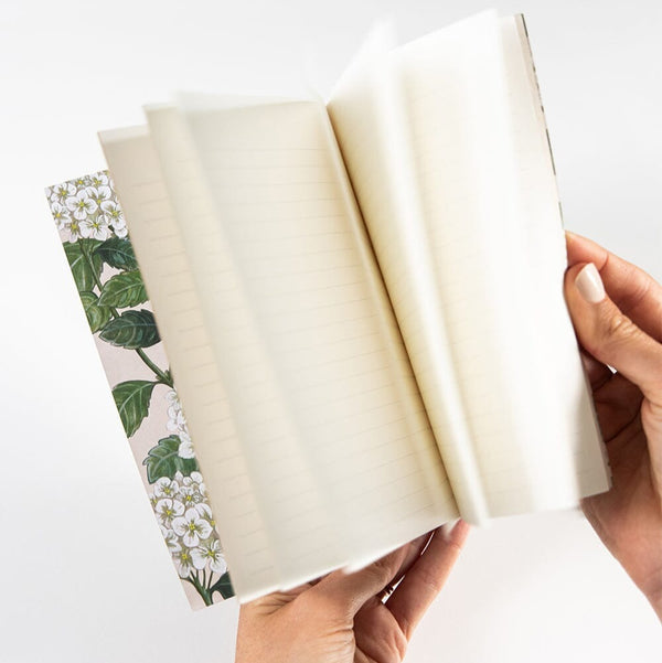 Pocket Lined Notebook / Hydrangea